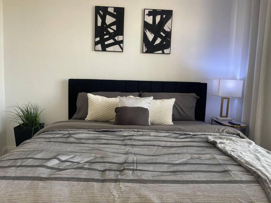 Luxury Skyrise Condo Downtown Jax جاكسونفيل المظهر الخارجي الصورة